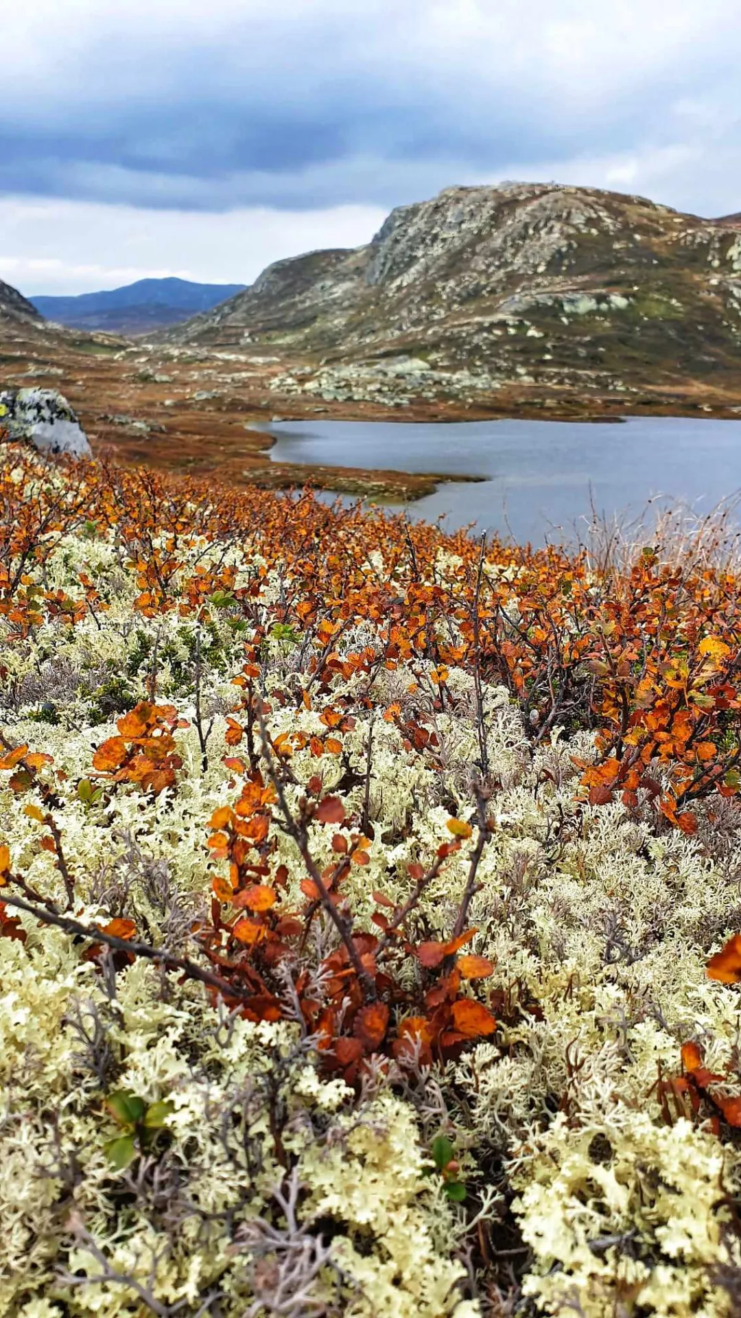 Fjellvann i høstfarger ved Rauland