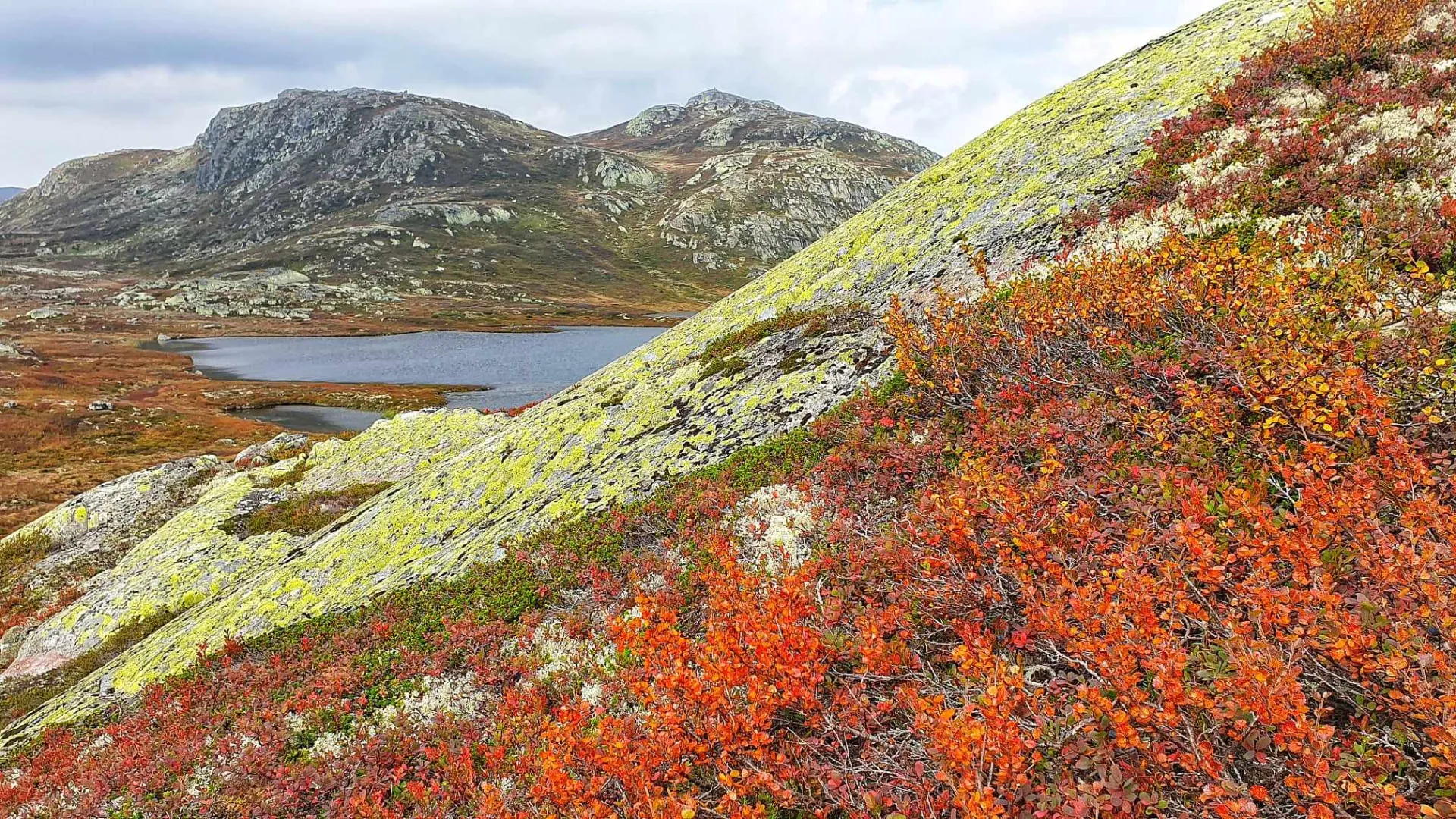 Hotellrom med fjellutsikt på Rauland Høgfjellshotell, 1000 moh. i Telemark