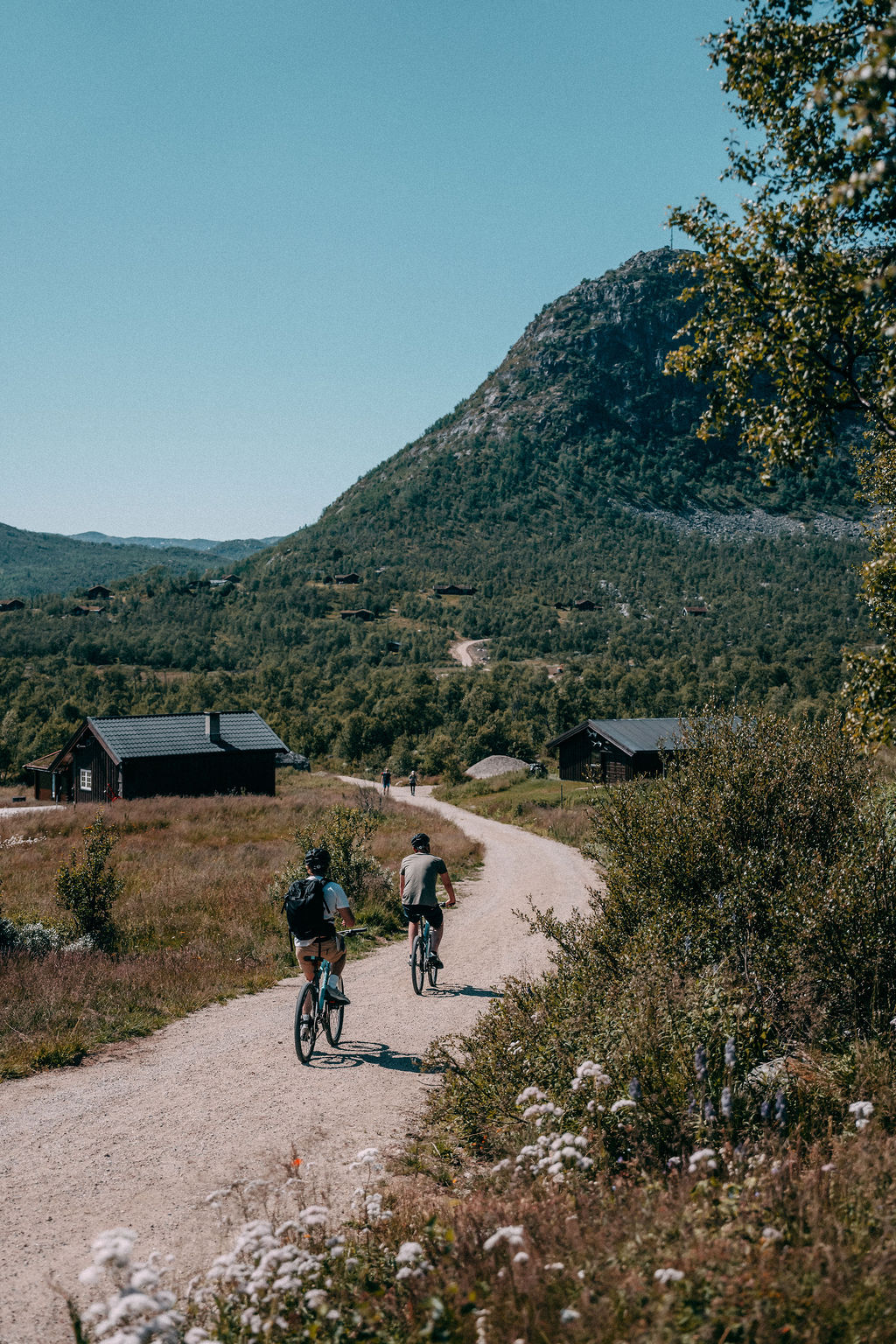 Hardangervidda im Rauland Berghotel, Telemark, Norwegen