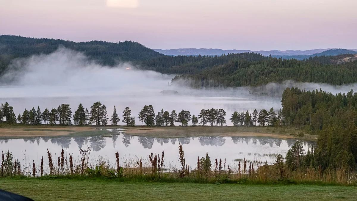 Tåkelagt fjellvann i demring med furutrær i speilblank vannflate