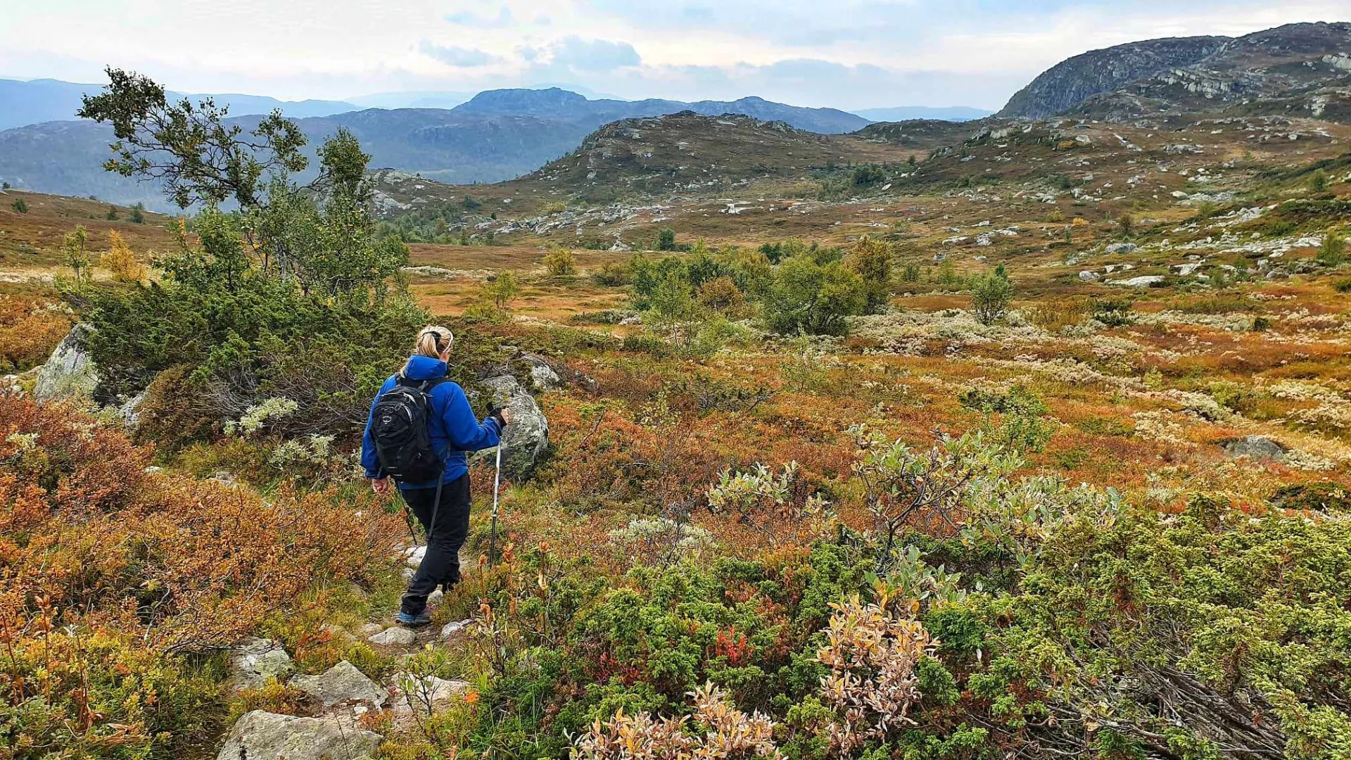 Turgåer i blå jakke med utsikt over viddelandskapet