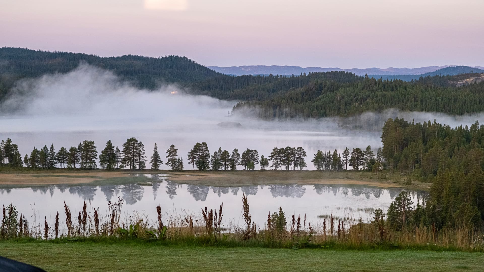 Tåkelagt fjellvann i demring med furutrær i speilblank vannflate