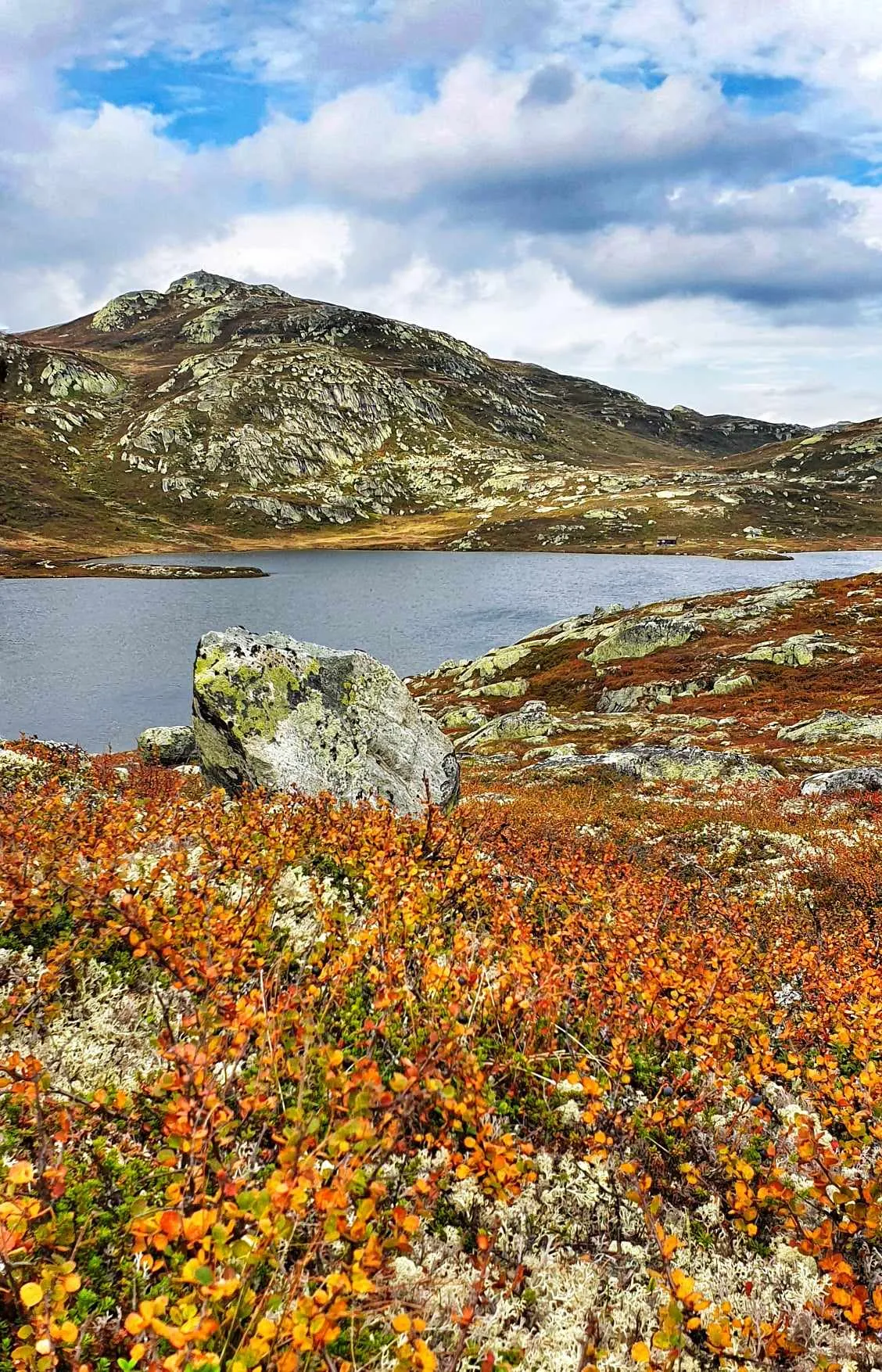 Fjellvann omkranset av oransje høstlyng